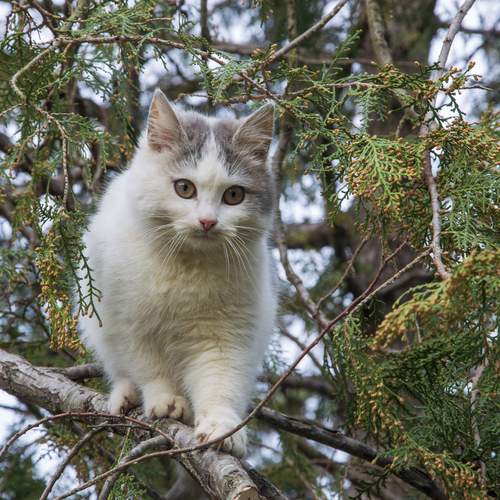 Photo #13431124