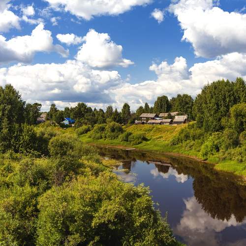 Photo #13431131