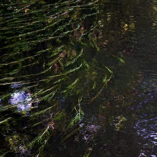 Photo #13431245
