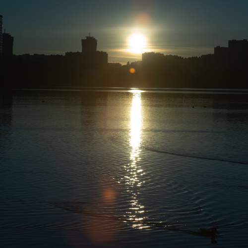 Photo #13431246