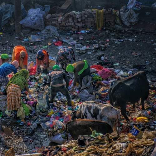 Lives Among the Waste