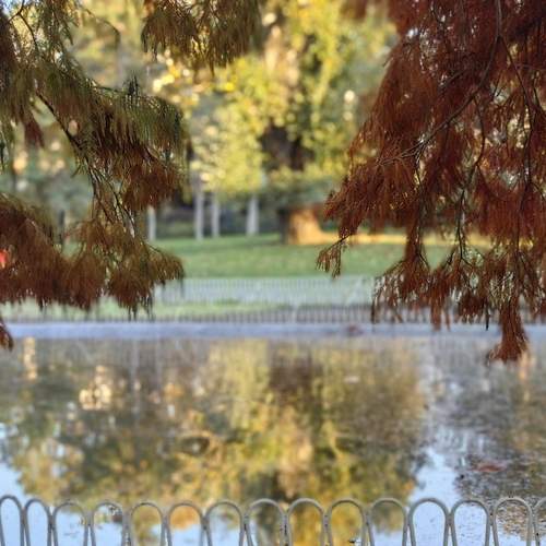 Photo #13431329