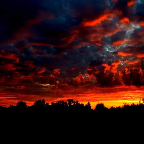 Photo #13431337