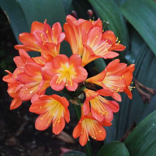Photo #13431339