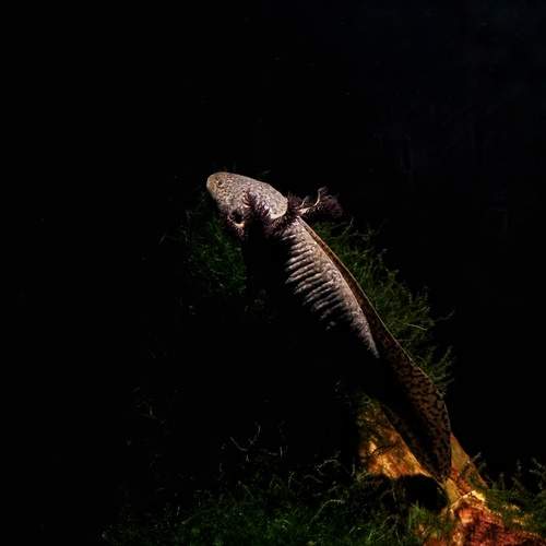 Photo #13431365
