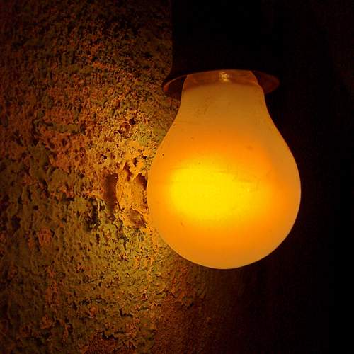 Photo #13431494