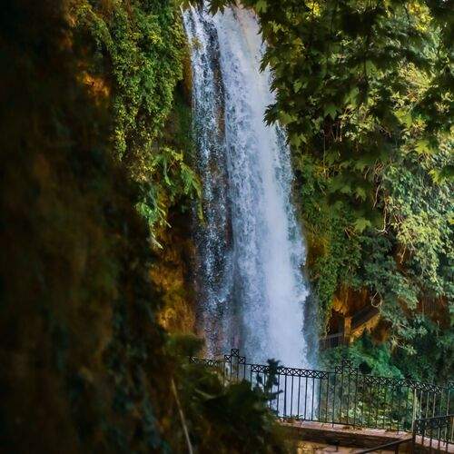 Photo #13431520