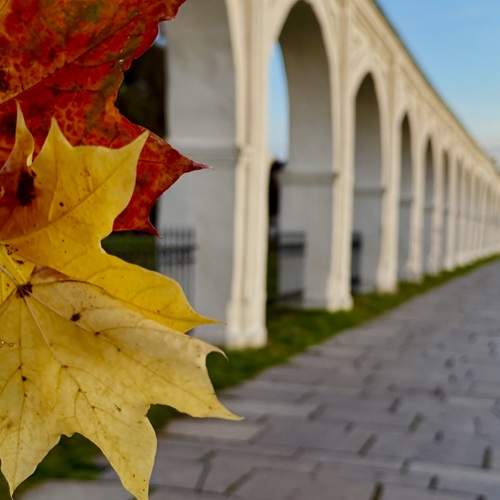 Осенняя парочка