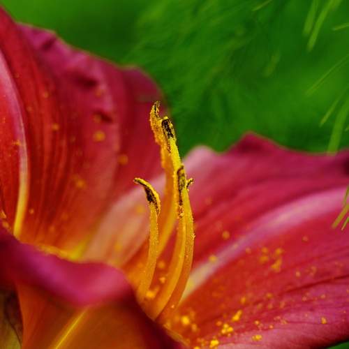 Photo #13431649