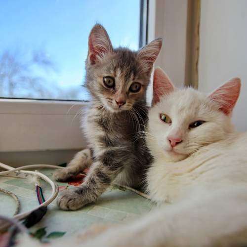 Фотография #13431657