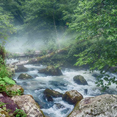 Photo #13431663