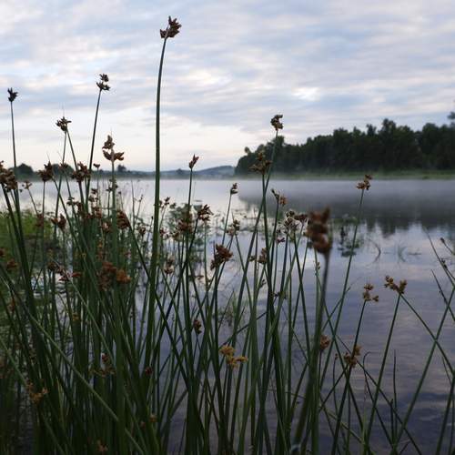 Photo #13431691