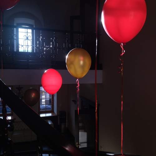 Photo #13431773