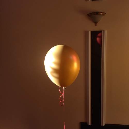 Photo #13431774