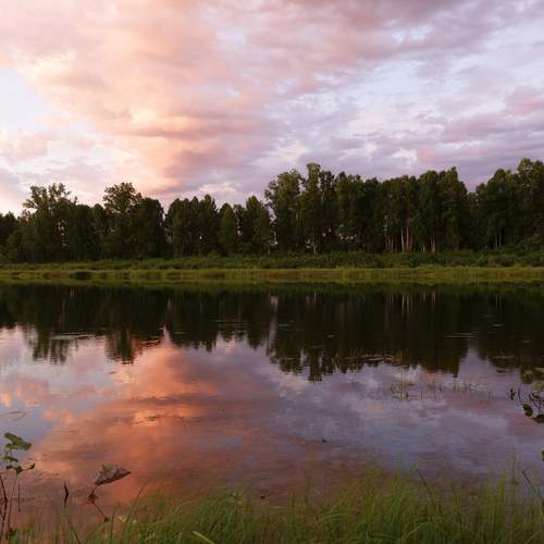 Photo #13431822