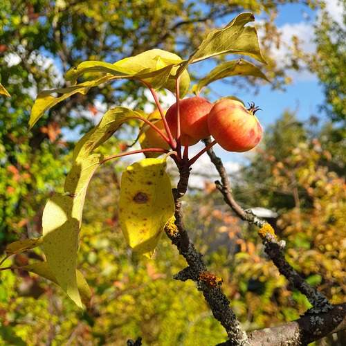 Photo #13431863