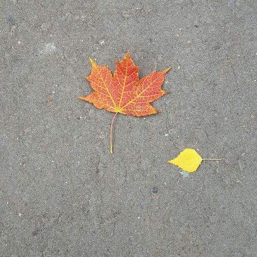 Photo #13431866