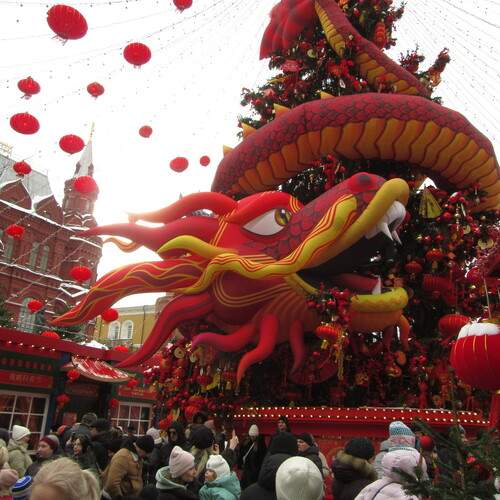 Photo #13431920