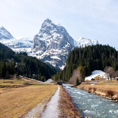 Photo #13431997