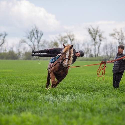 Photo #13432008