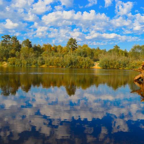 Photo #13432057