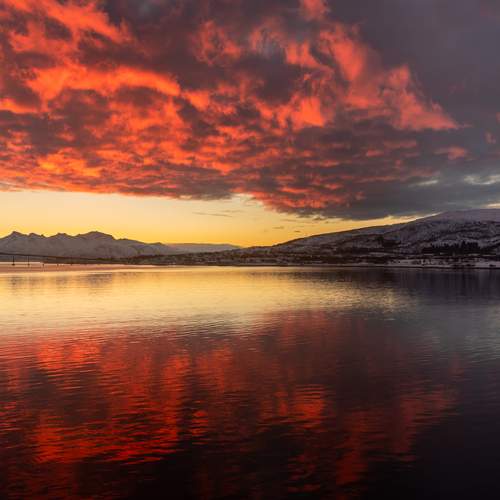 Photo #13432094