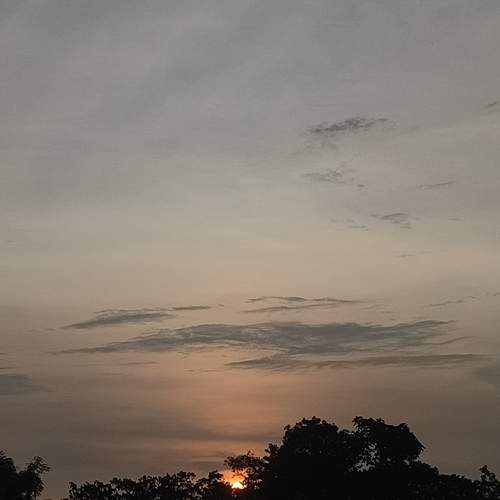 Photo #13432173