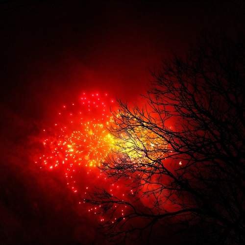 Photo #13432205