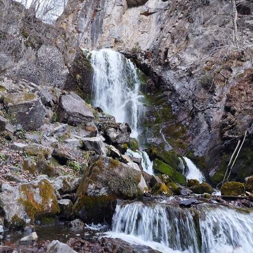 Фотография #13432254