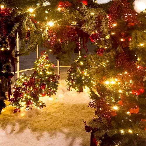 Фотография #13432336