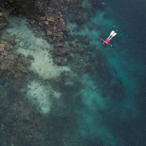 Beyond The Blue