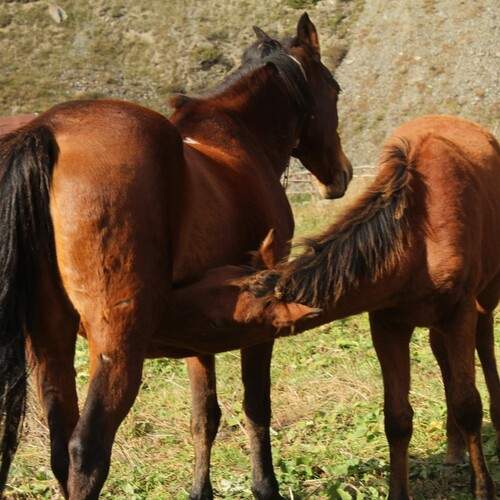 Photo #13432382