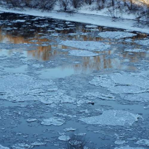 Фотография #13432445