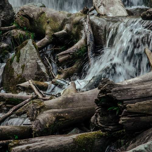 Photo #13432484