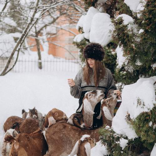 Фотография #13432519