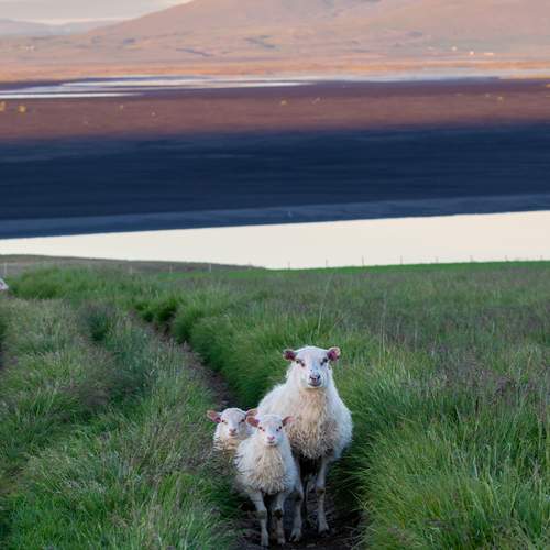 Фотография #13432685