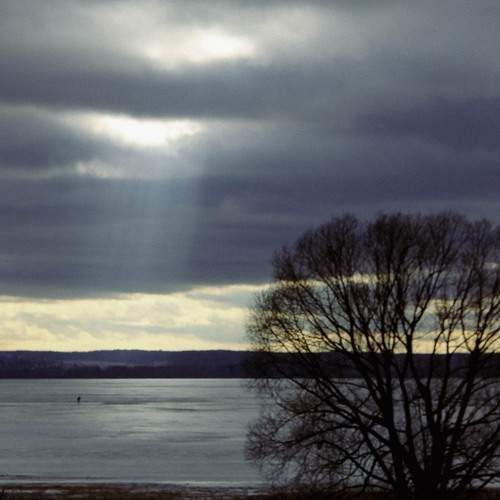 Photo #13432760