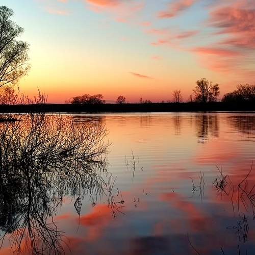 Photo #13432781