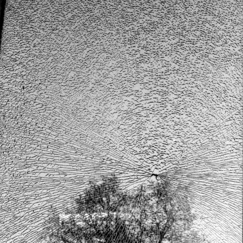 Photo #13432801