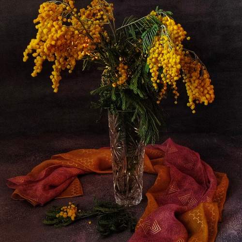 Photo #13432802