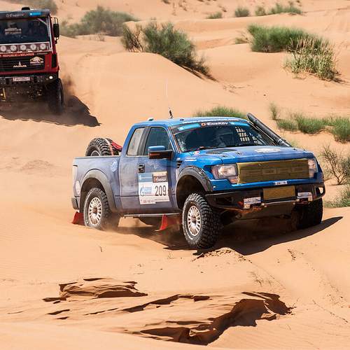 Фотография #13432878