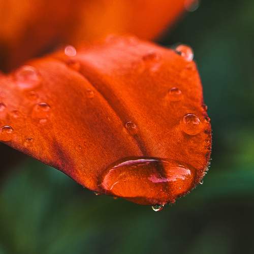 Photo #13432917