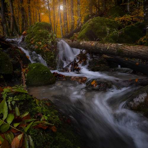 Фотография #13432923