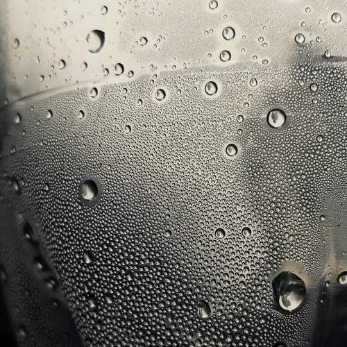 Photo #13432927