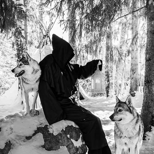 Photo #13432936