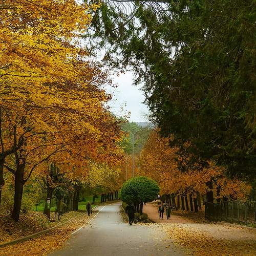 Photo #13432985