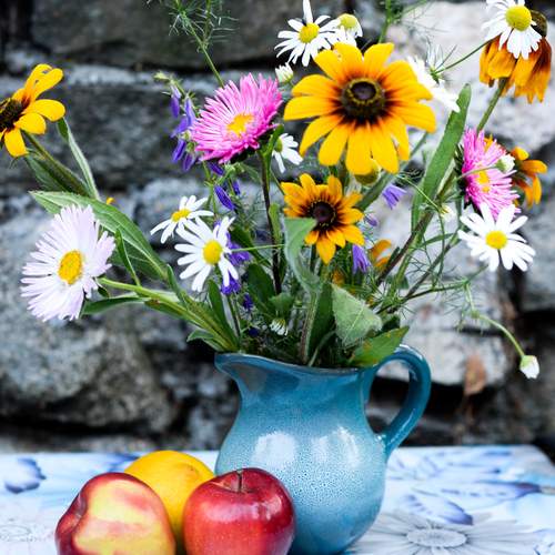 Photo #13433004