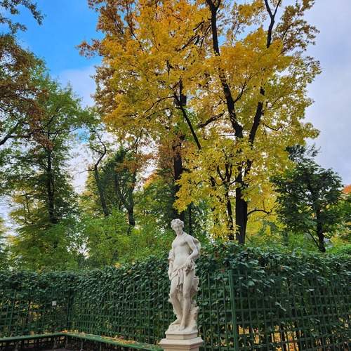 Photo #13433030