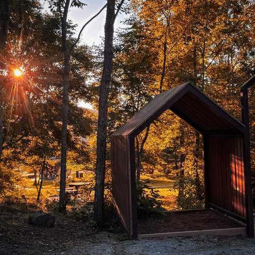 Фотография #13433075