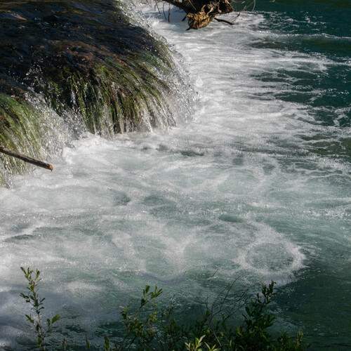 Photo #13433135